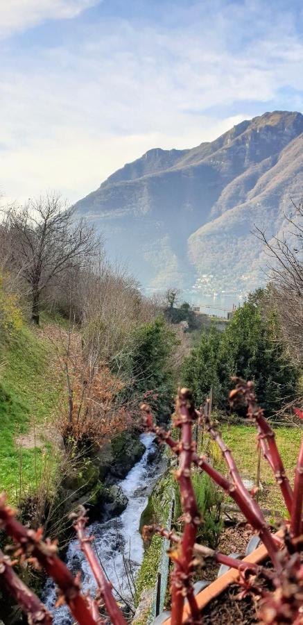 La Turr De Mezz Hotel Nesso Exterior photo